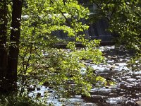 photos 2000-200901766